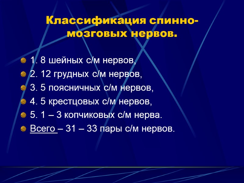 Классификация спинно-мозговых нервов. 1. 8 шейных с/м нервов, 2. 12 грудных с/м нервов, 3.